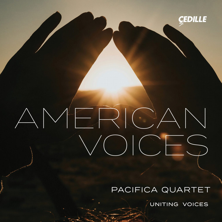 Photo of American Voices